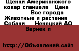 Щенки Американского кокер спаниеля › Цена ­ 15 000 - Все города Животные и растения » Собаки   . Ненецкий АО,Варнек п.